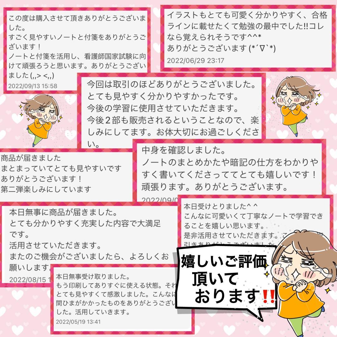 激安!! 看護師国家試験まとめノート 付箋ノート 国試 解剖生理学 看護学生