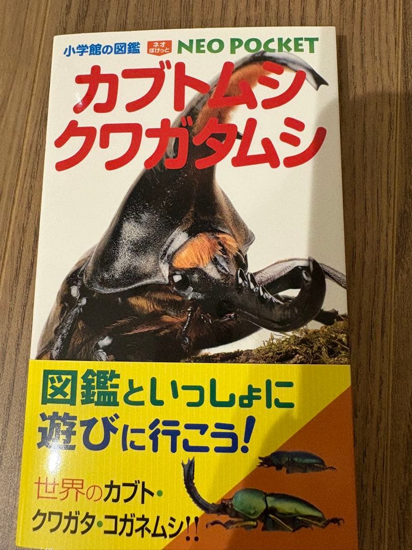 小学館図鑑neoaポケット13巻