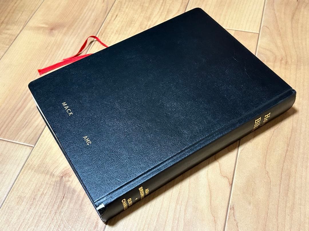 Holy Bible 写真集。Mack