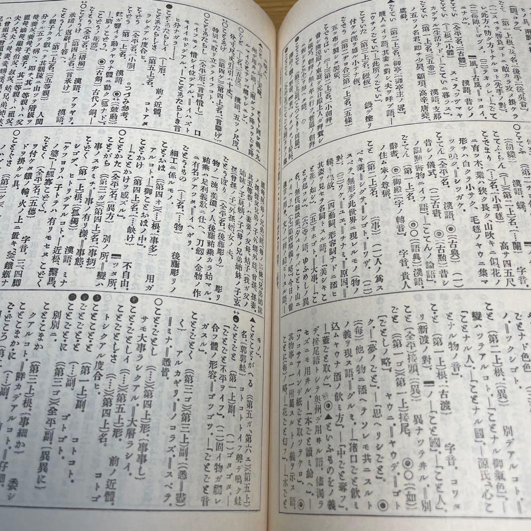じ*む様 日本大辞書　明法堂版（明治25年）の復刻　山田美妙著　ノーベル書房