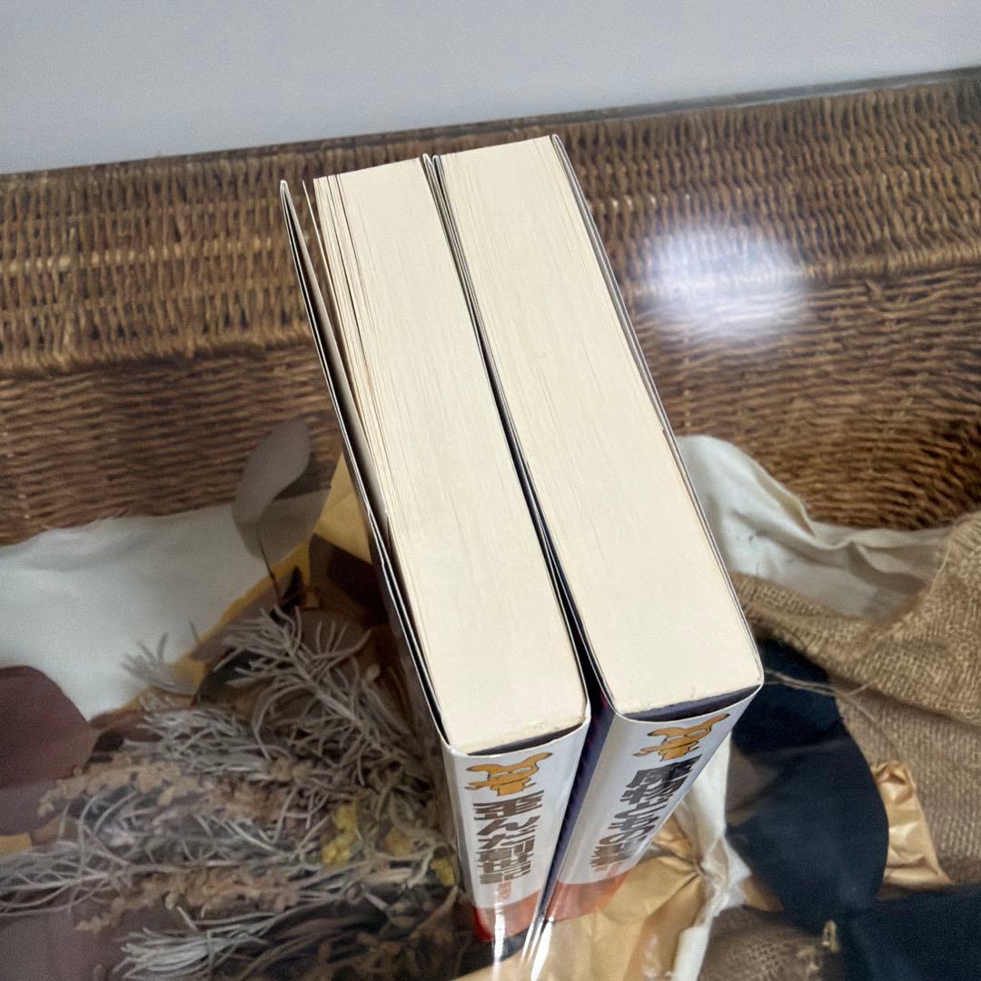 【積木鏡介　初版❗️】　歪んだ創世記　魔物どもの聖餐　講談社ノベルス