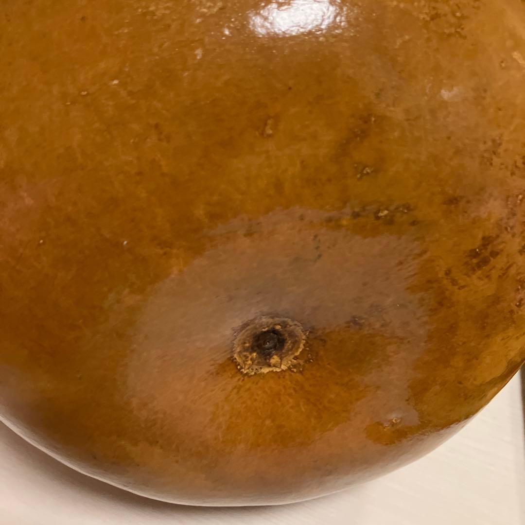 フラダンス　イプ　ケース