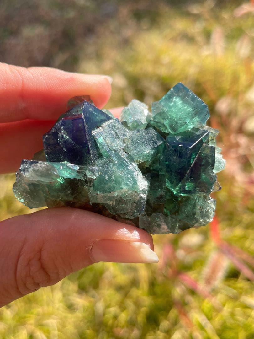 イギリス　ダイアナマリア産カラーチェンジフローライト