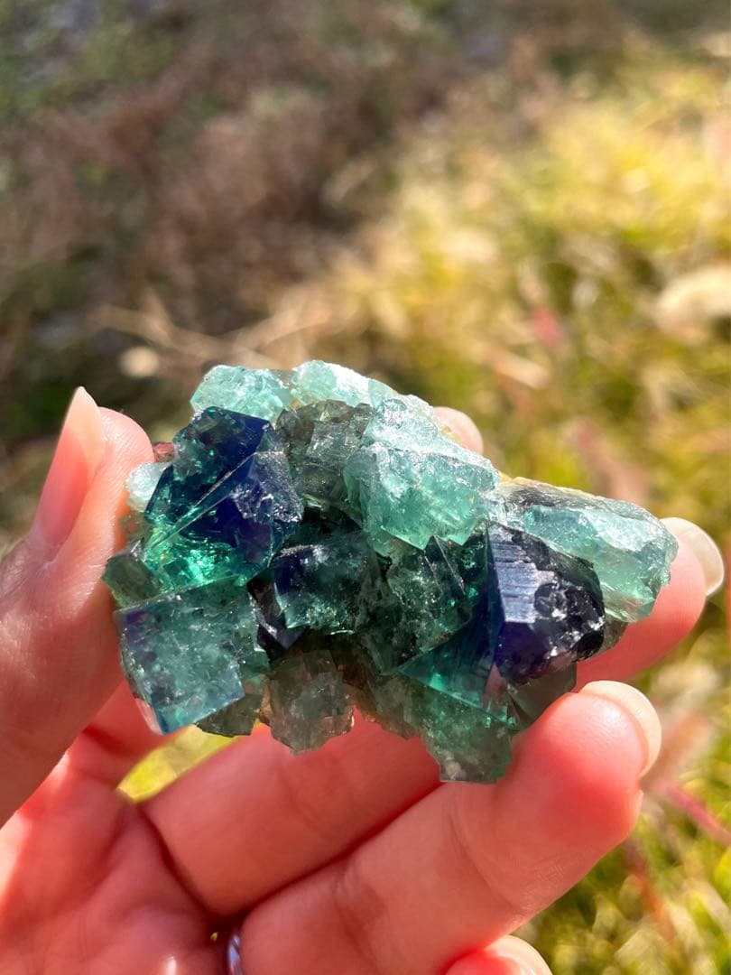 イギリス　ダイアナマリア産カラーチェンジフローライト