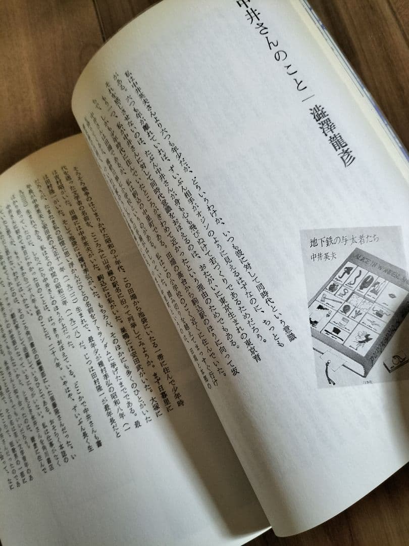 中井英夫スペシャル　１改訂版　反世界の手帳　別冊幻想文学　絶版書籍