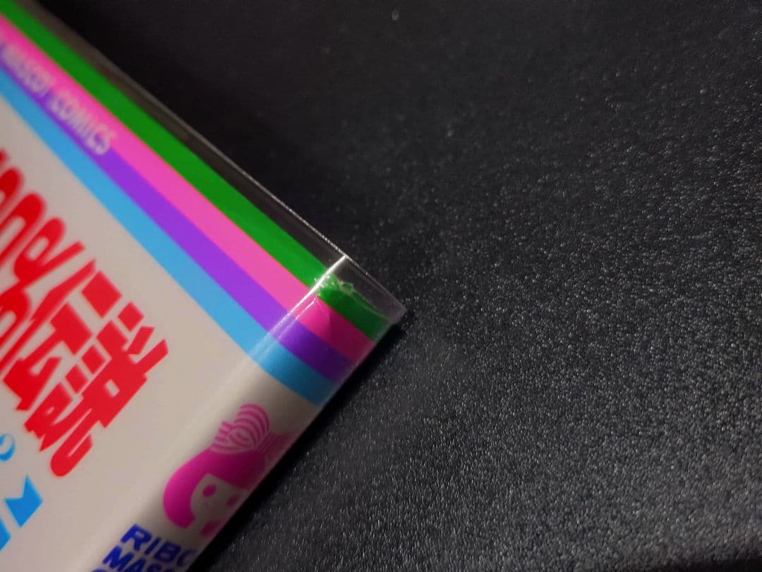 岡田あーみん お父さんは心配症 ルナティック雑技団 こいつら100%伝説