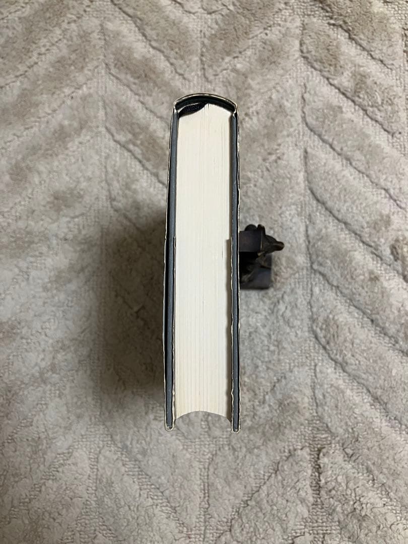 《絶版》ヴィトゲンシュタインの箒　フォスター•ウォレス　これは水です　ピンチョン