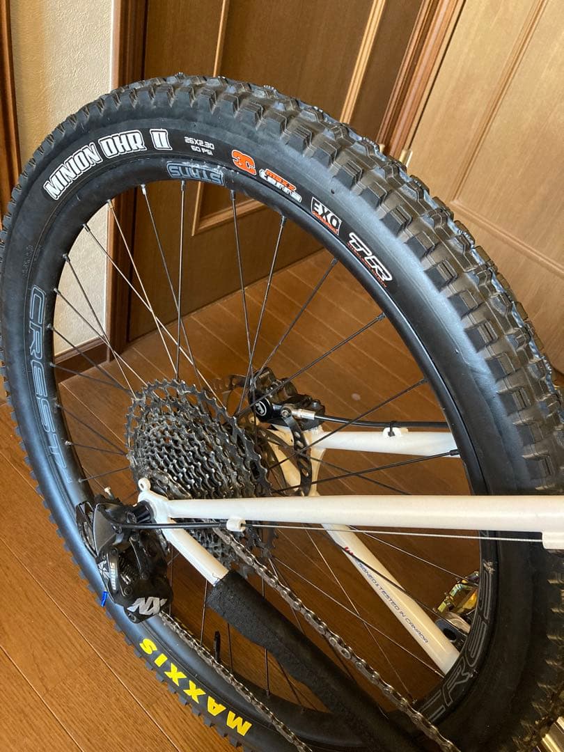 ロッキーマウンテン_ブリザード　カスタムバイク