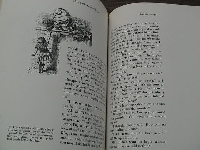 洋書アリス  Annotated Alice　キャロル　テニエル　不思議な～　鏡