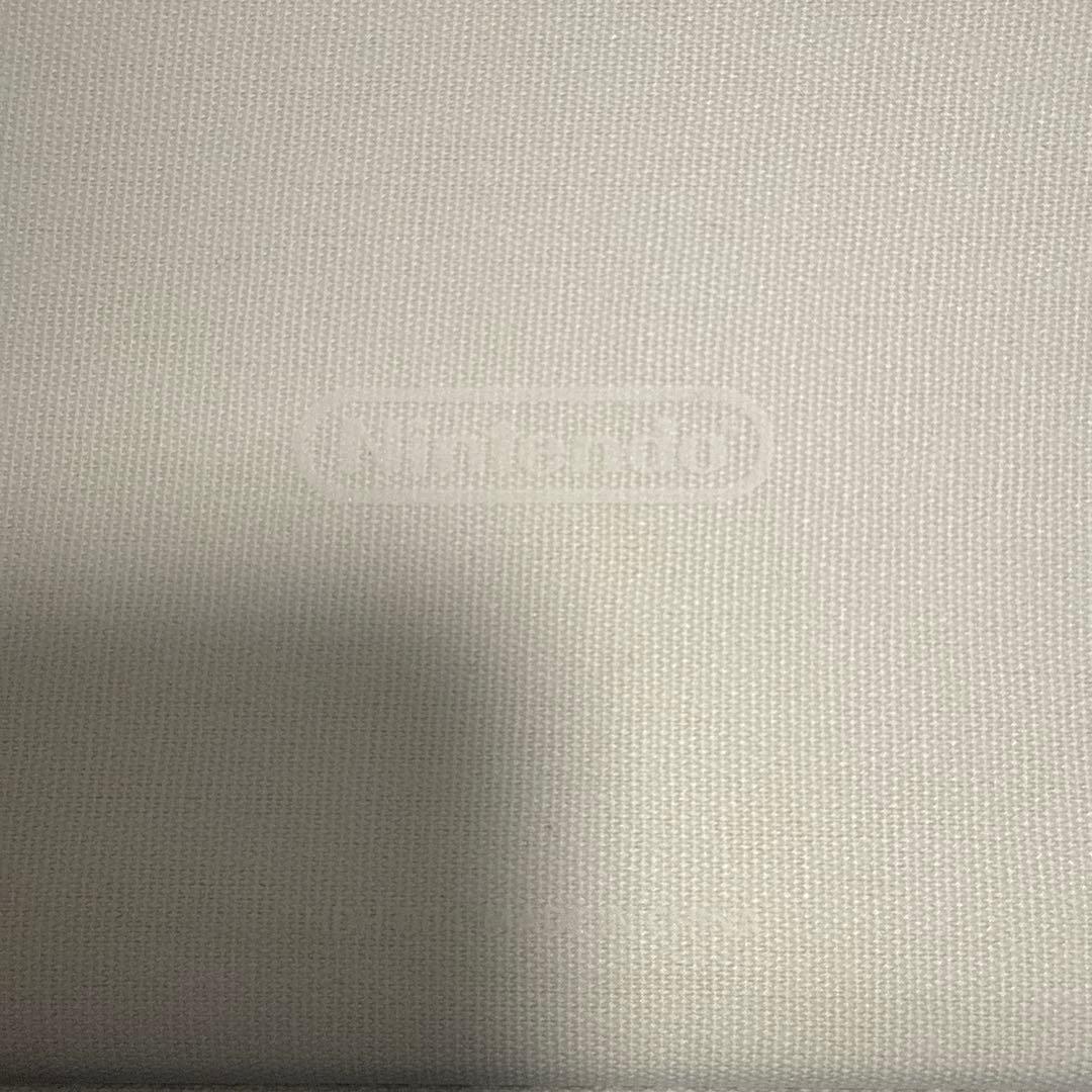 Nintendo Switch Lite どうぶつの森 かなり美品