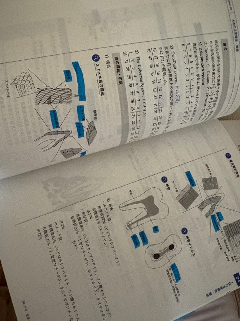 New Text 2024 国試対策 5冊セット