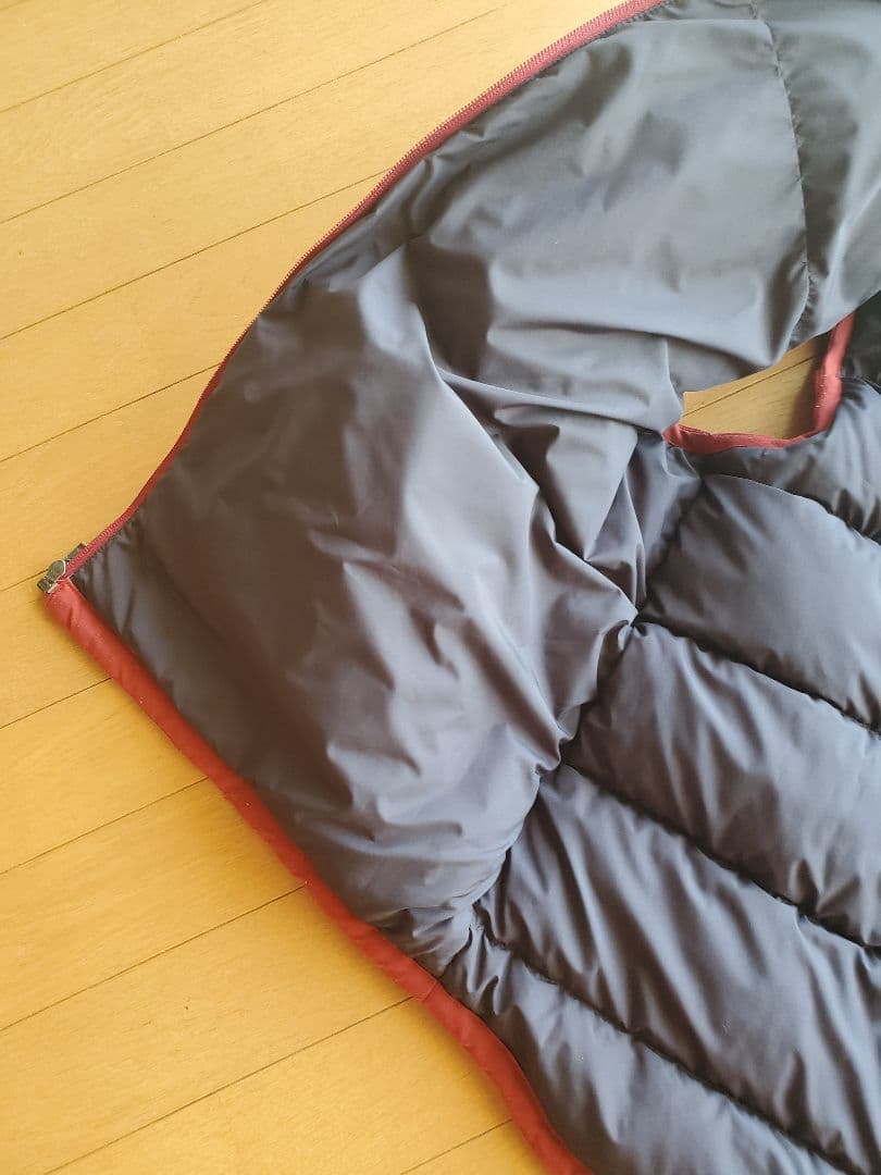 13年 メンズL パタゴニア ダウンベスト えんじ色