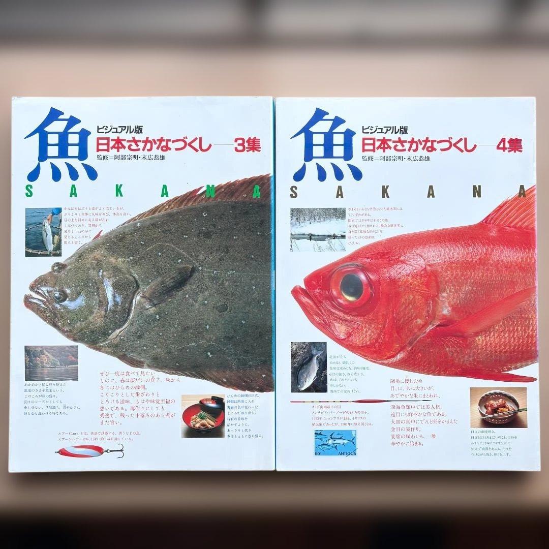 ビジュアル版 日本さかなづくし 全4巻セット 箱付き 講談社 魚 図鑑