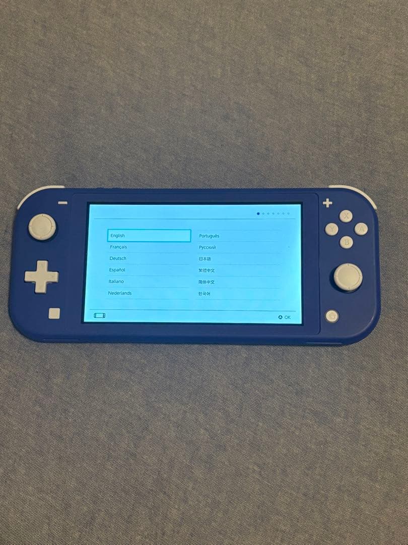 Nintendo Switch Lite ブルー　本体(+ケース+おまけ)