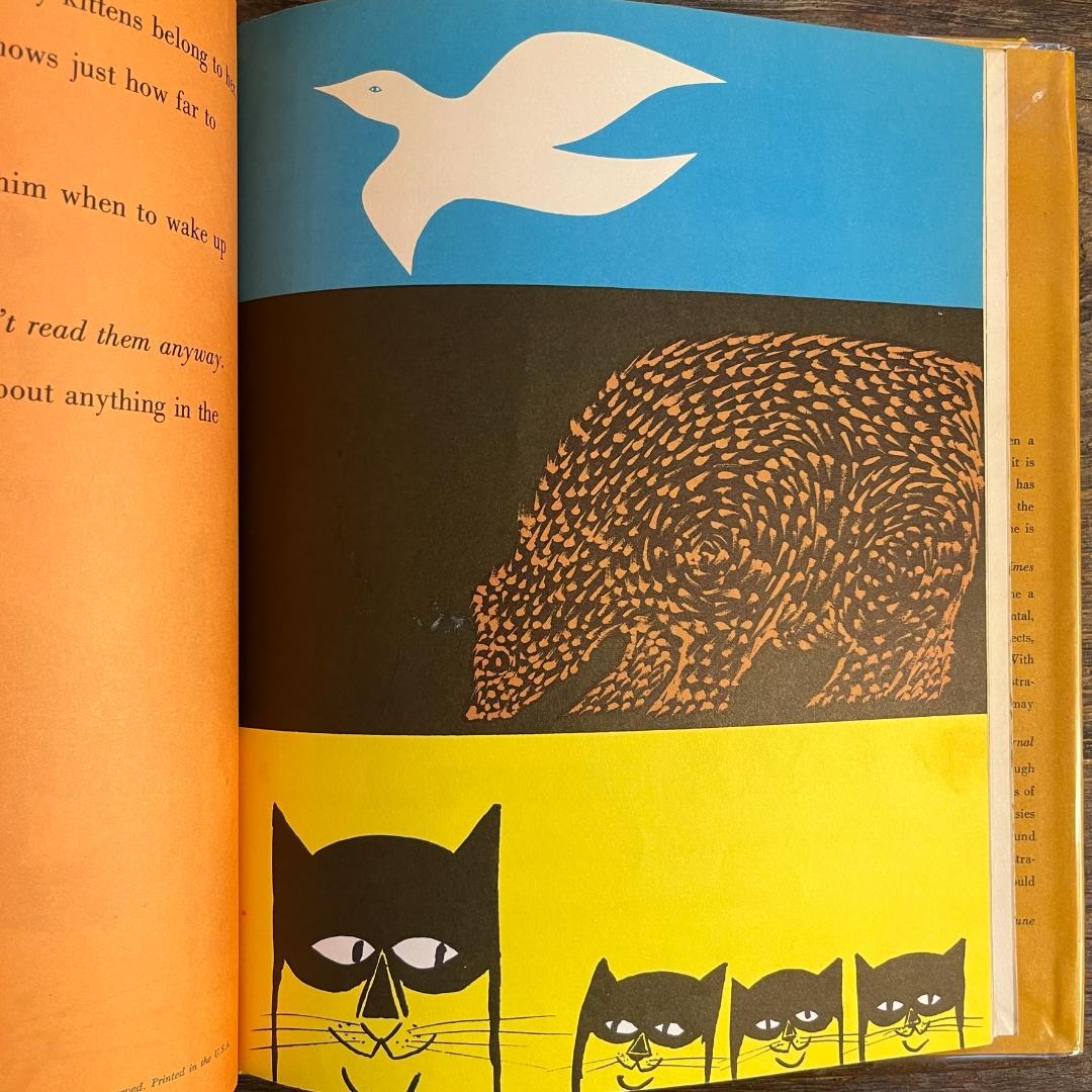 絵本・児童書 A Cat Can't Count