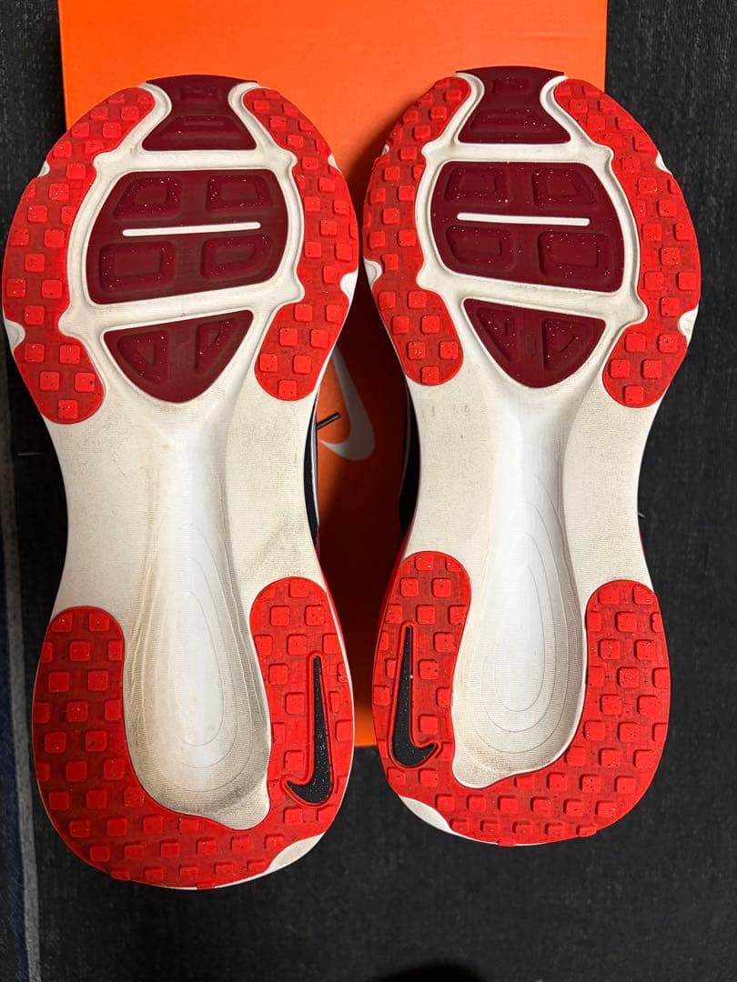 （３連休限定）Nike ポメロ18ランニングシューズ ブラック/29cm