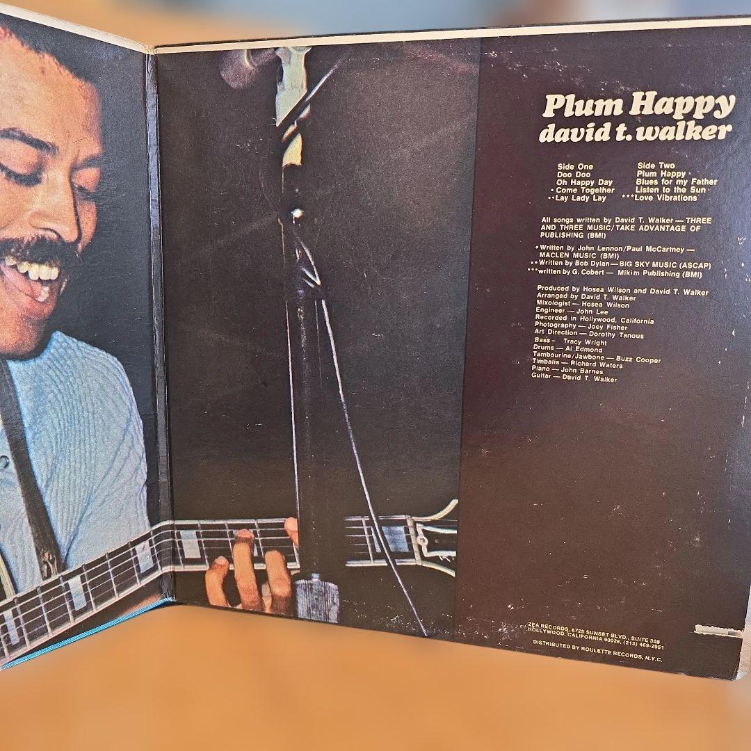 レア盤 PLUM HAPPY David T Walker