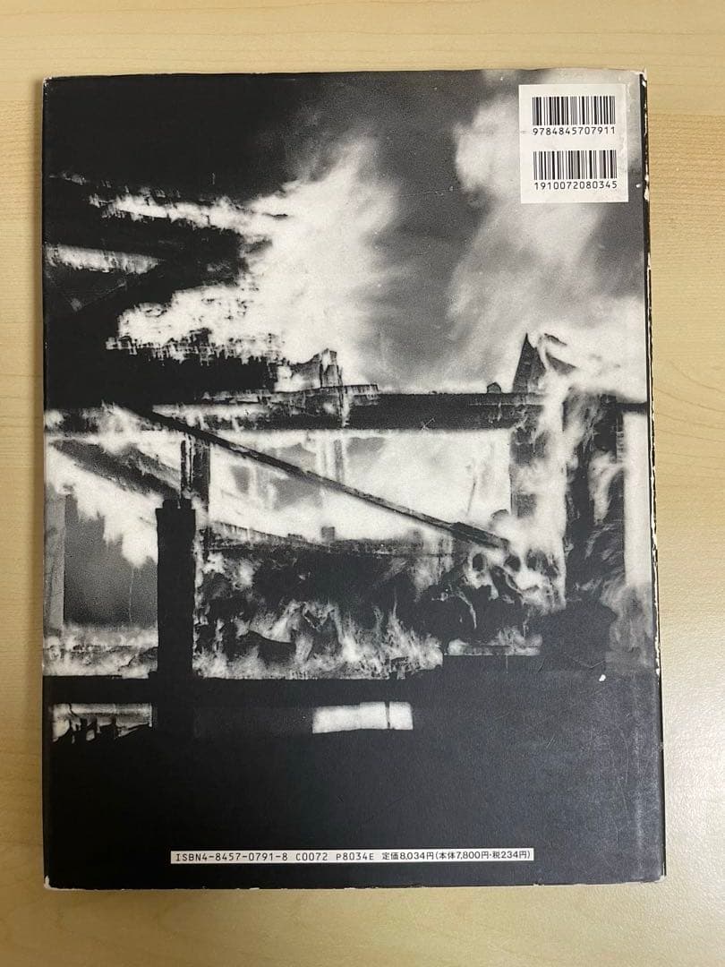 アート・デザイン・音楽 Diary Peter Beard