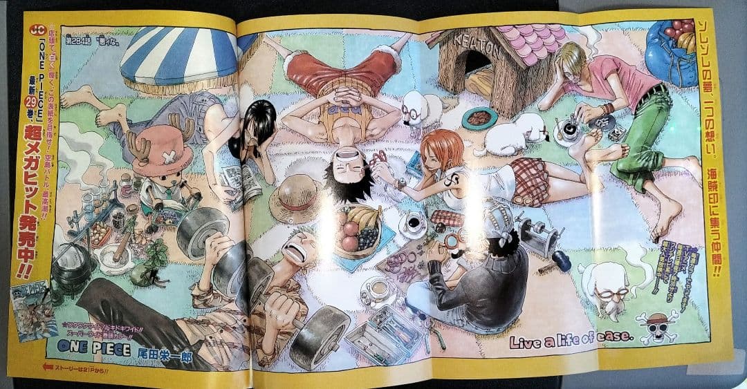 ワンピース　確認用