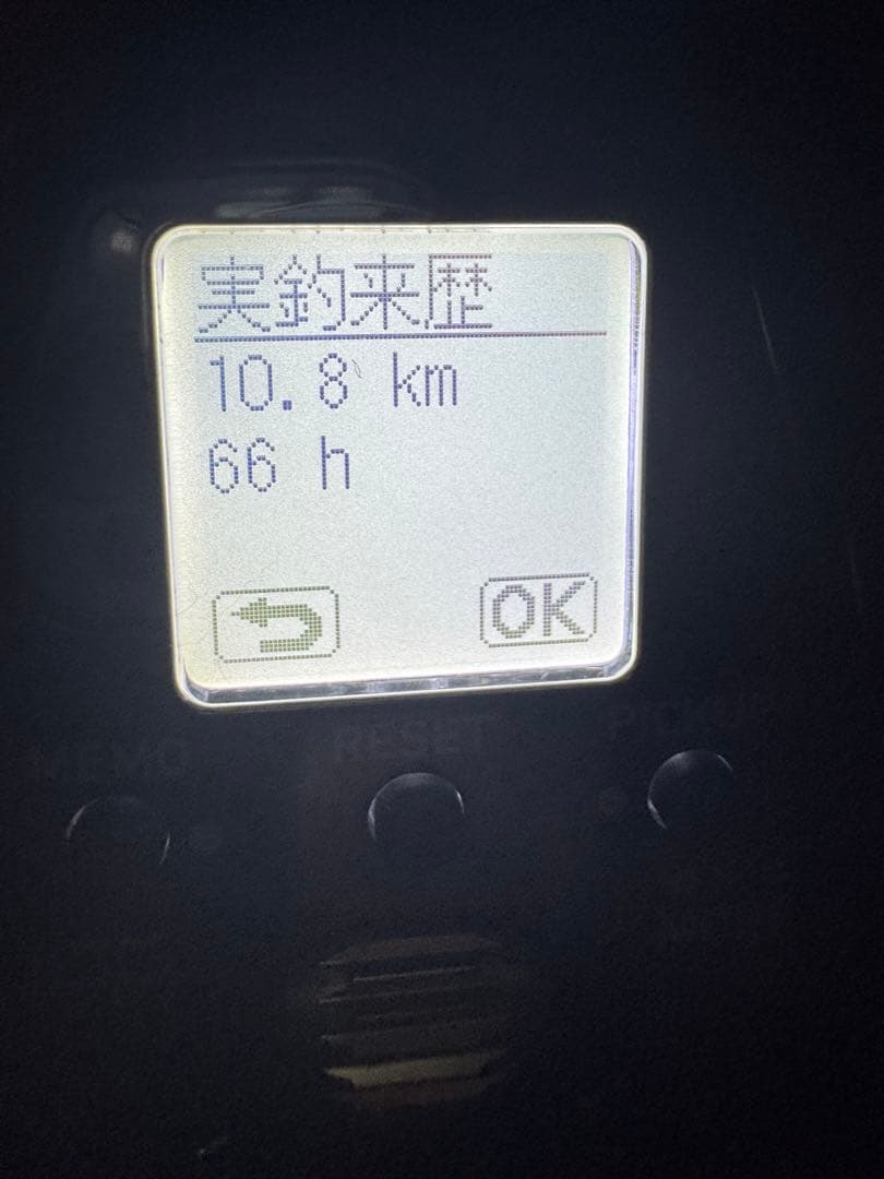 DAIWA シーボーグ200JL-DH Wハンドル　おまけSLPWグリス付き