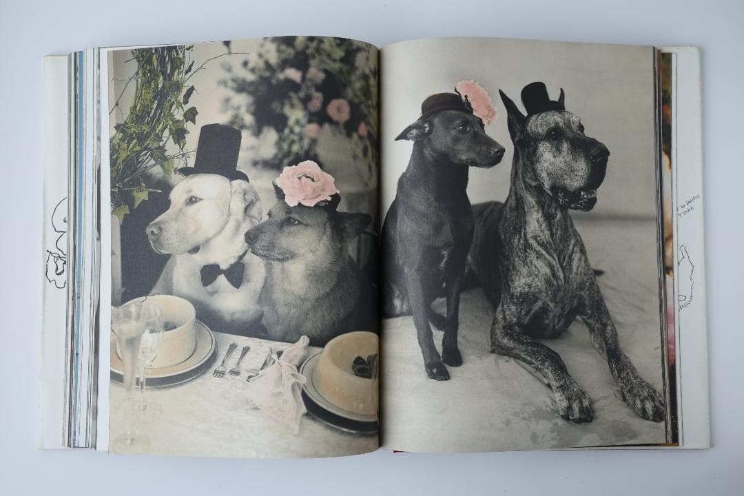 洋書 Bruce Weber Blood Sweat and Tears