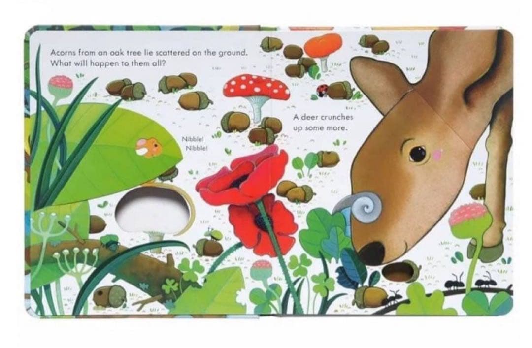 【peep inside】イギリスの人気の仕掛け英語絵本￼4冊セット