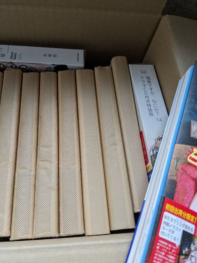 蜘蛛ですが、何か？EX含む全巻セット