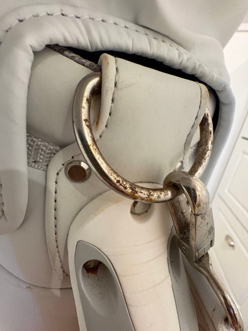 DESCENTE ホワイト キャディバッグ