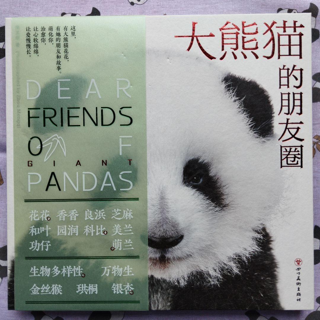 【レア品！新品・未使用品】和花ちゃん視点の限定品写真集「大熊猫的朋友圏」