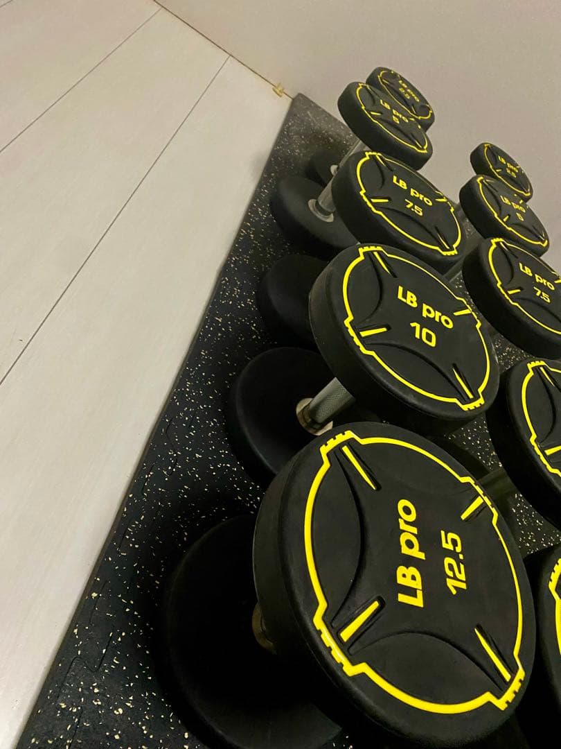 業務用 LP gym TPUダンベル 140kg⑥
