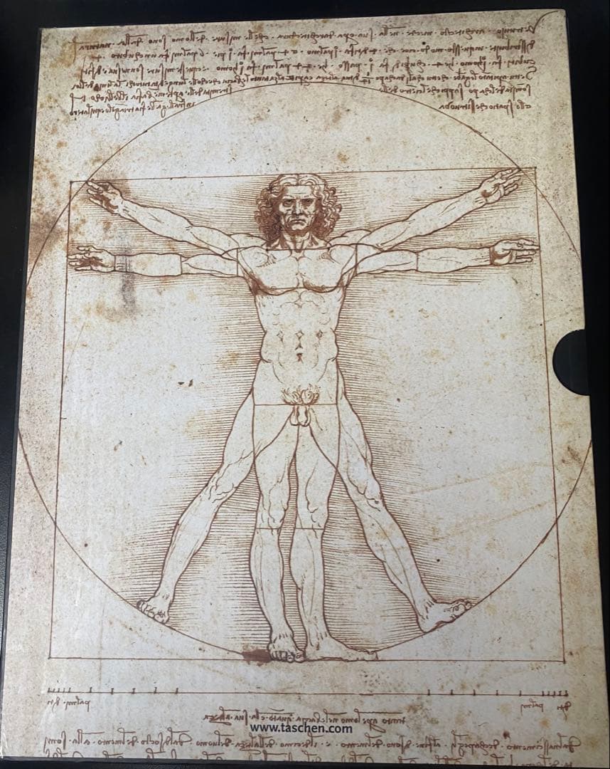 レオナルド・ダ・ヴィンチ: 1452-1519全絵画作品・素描集　英語版