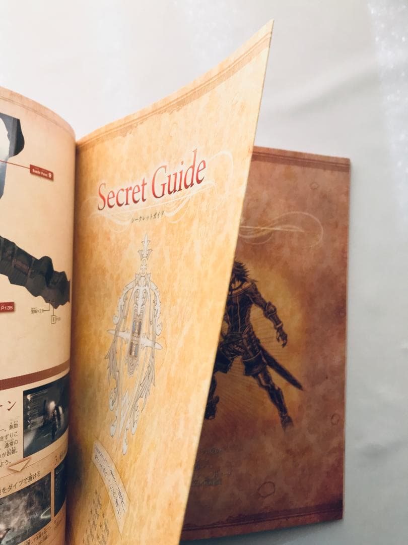 THE LAST STORY ザ ラストストーリーギャザリング マスターガイド