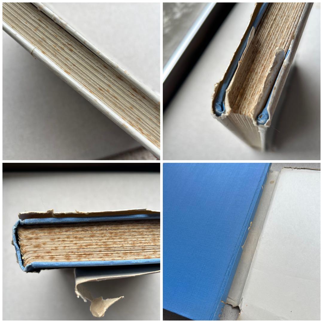 A GALLERY OF CHILDREN A. A. Milne 洋書　絵本