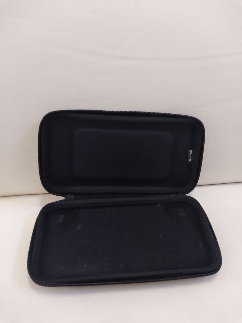 Nintendo Switch Lite ターコイズ 本体 充電器 ケース付き