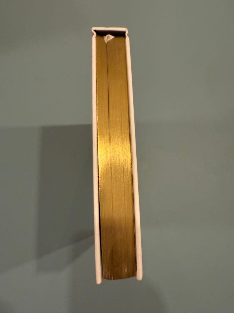 洋書 NOPI - Yotam Ottolenghi, Ramael Scully