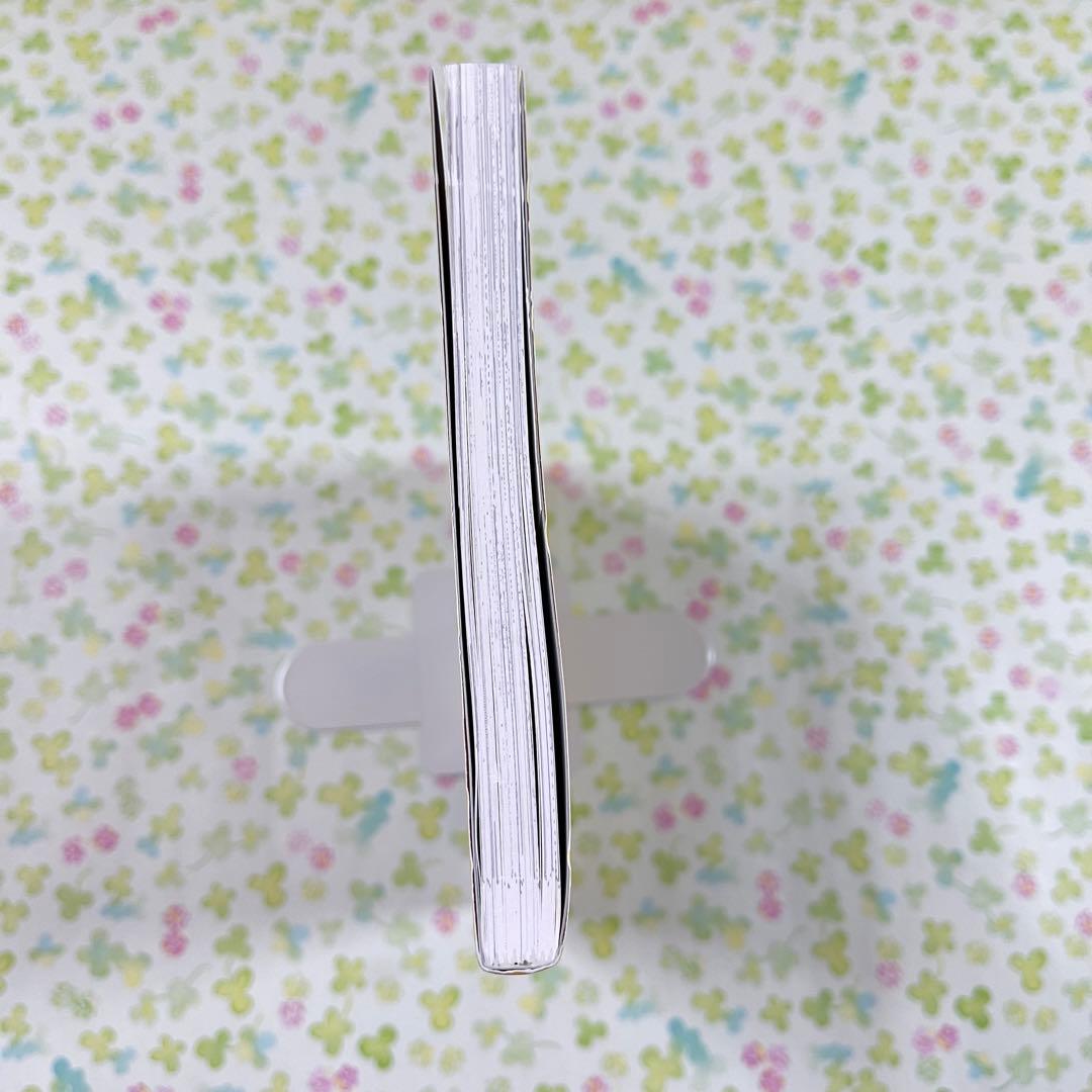 休日のわるものさん　森川侑　2巻　紀伊國屋書店　限定　特典　ペーパー　パンダ