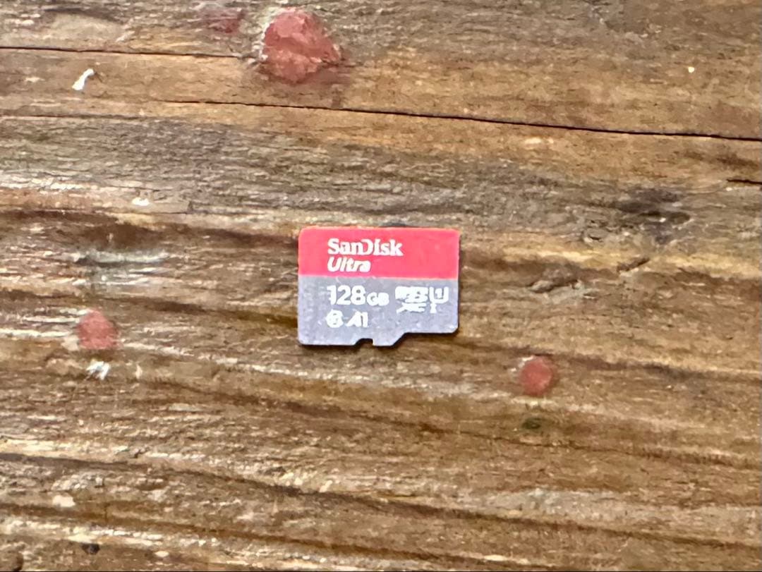 Nintendo Switch Lite グレー ●SDカードソフトケース付き●