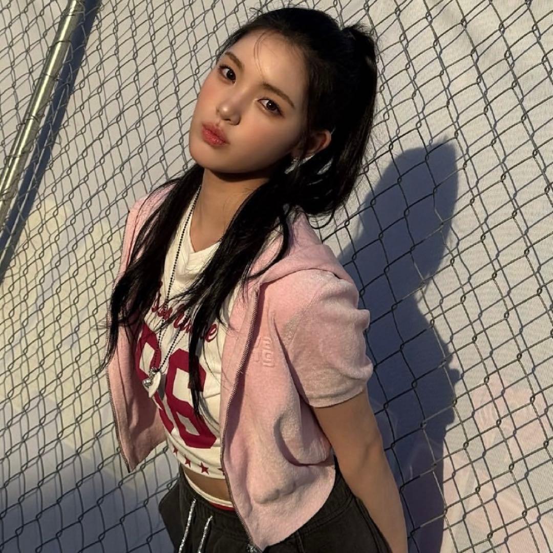 alexanderwang 半袖ベロアパーカー アレキサンダーワン