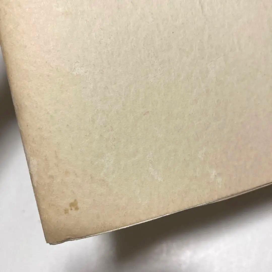 レア！！ヨーガンレール　ババグーリ　石のコレクション写真集