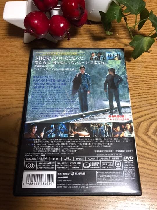 ⭐️貴重なパンフレット付⭐️【アウトサイダー】セル版DVD⭐️ニューマスター版⭐️名作⭐️