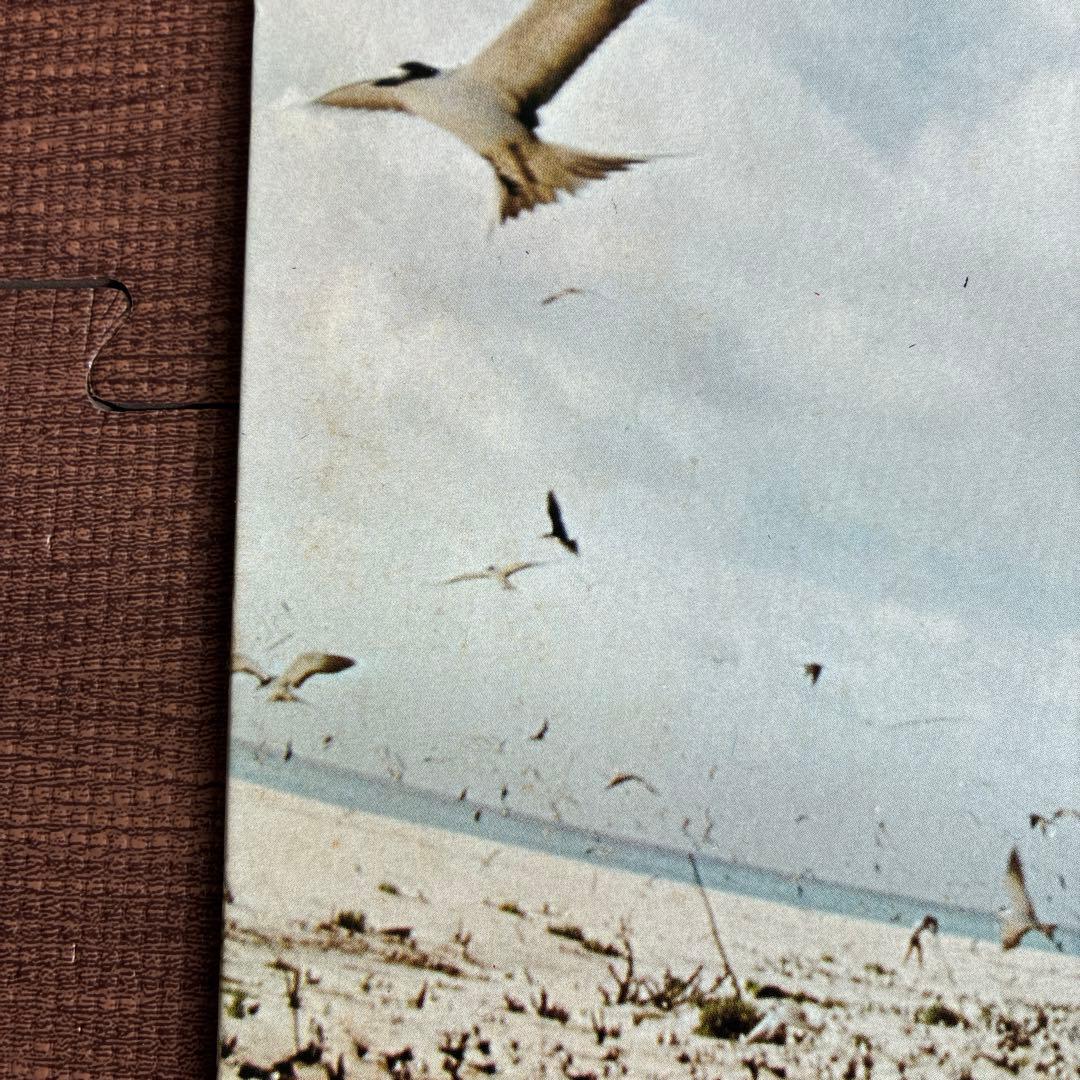 高中正義　セイシェルズ Seychelles 中古ＬＰレコード