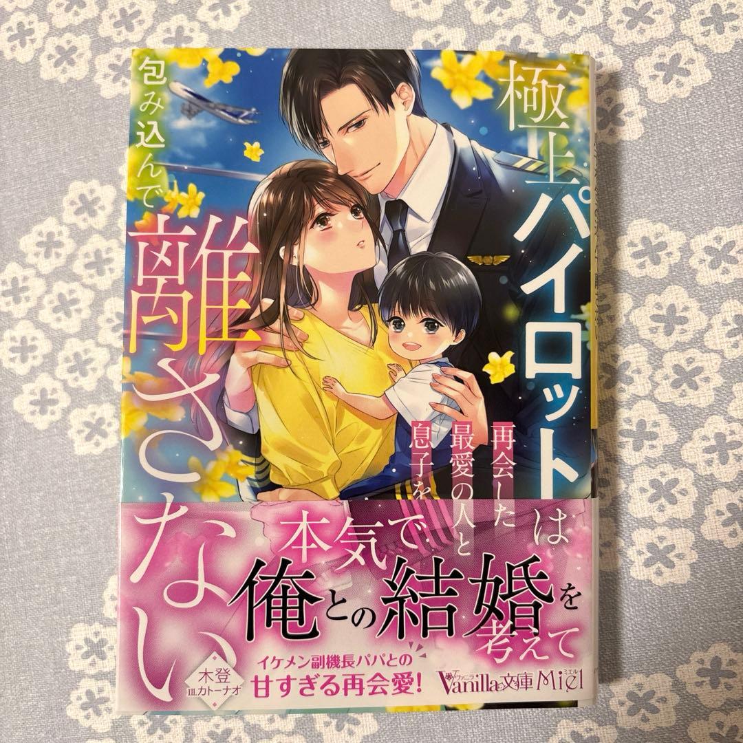 【専用】エタニティブックス・ルネッタブックス・ヴァニラ文庫ミエル　5月新刊