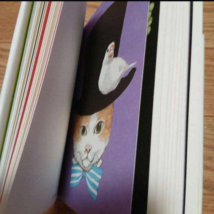 ヒグチユウコ　ちいさな画集　 1&2　ポストカードブック　セット