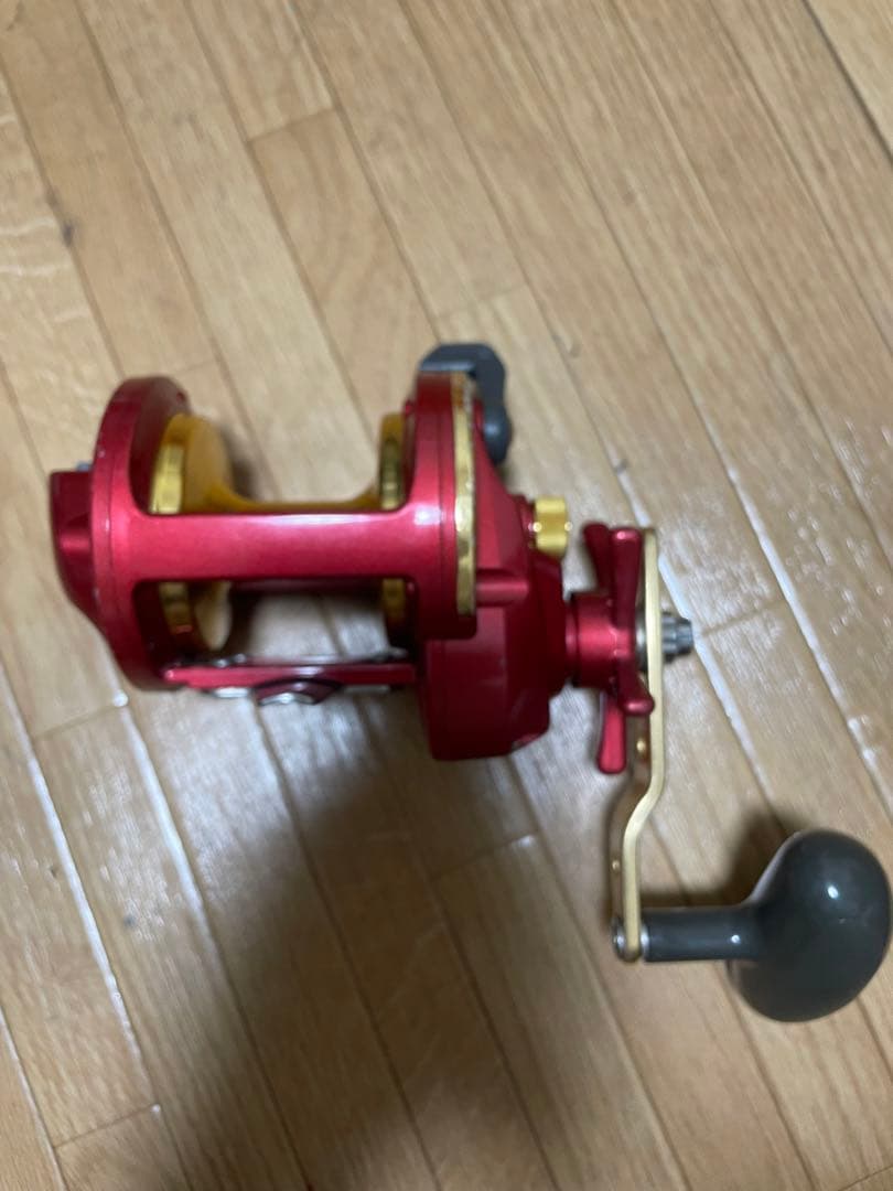 シーライン　遠投　石鯛　Daiwa