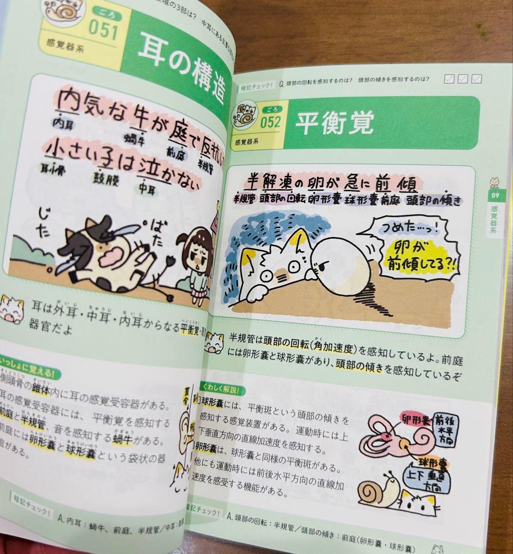 看護師 国家試験問題集 2026年版　セット