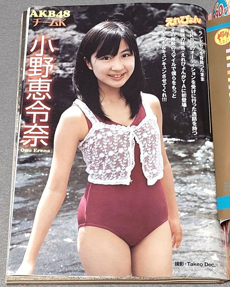 ヤングアニマル2008年21号/ベルセルク表紙&特別カバー付録未切/三浦建太郎