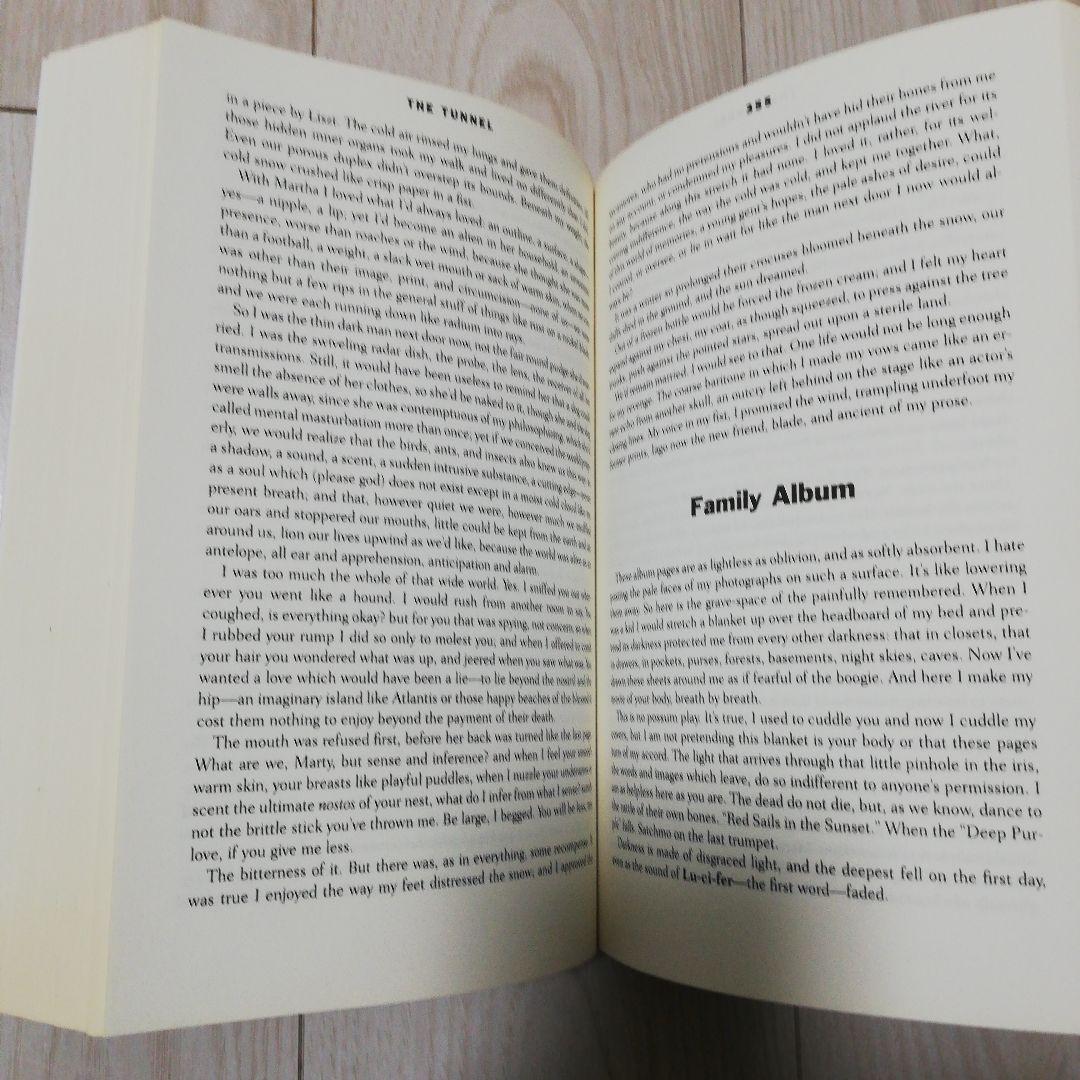 ウィリアム・H・ギャス THE TUNNEL　トンネル