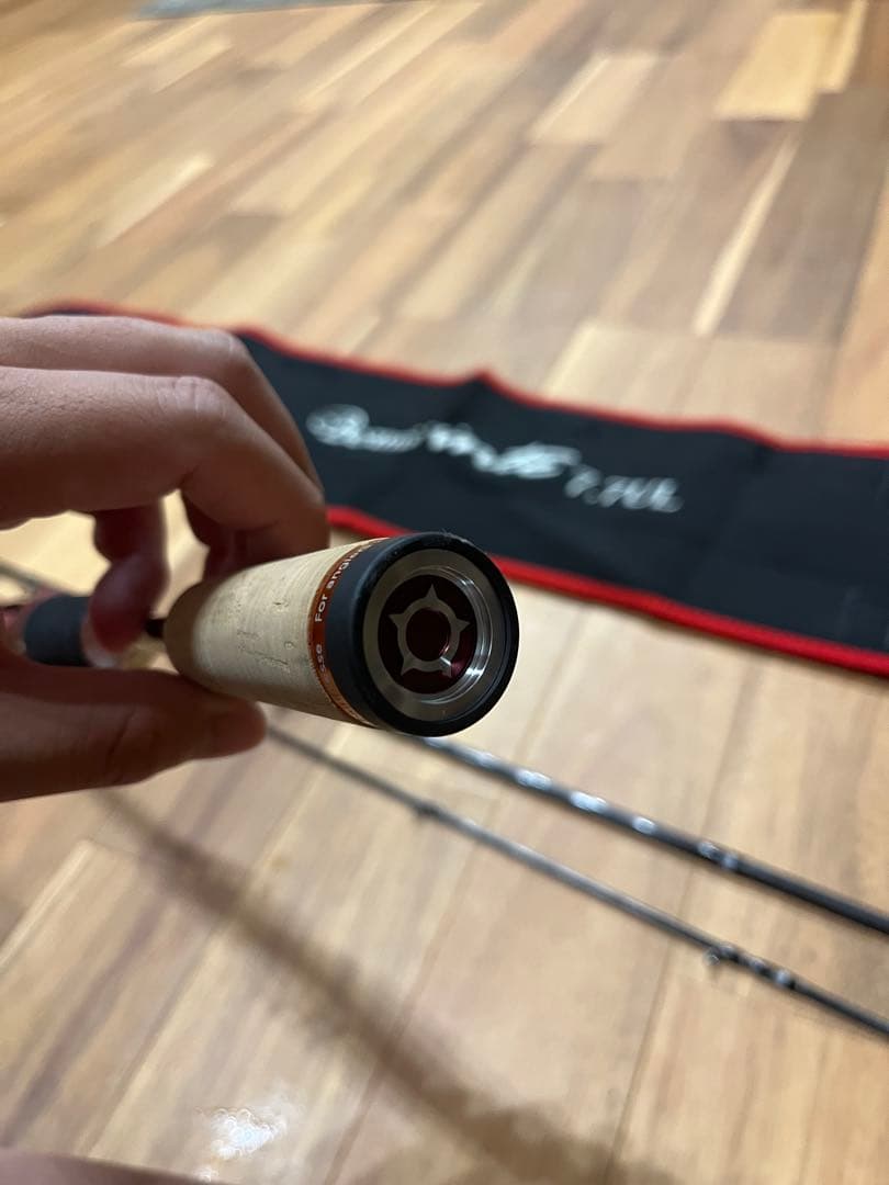 Fishman ビームス　インテ77ul