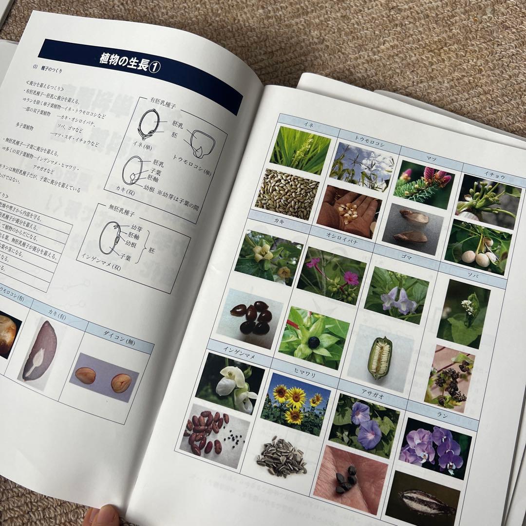 週末限定お値下げ　最新版　中学受験SPICA スピカ　理科　筑駒単科講座