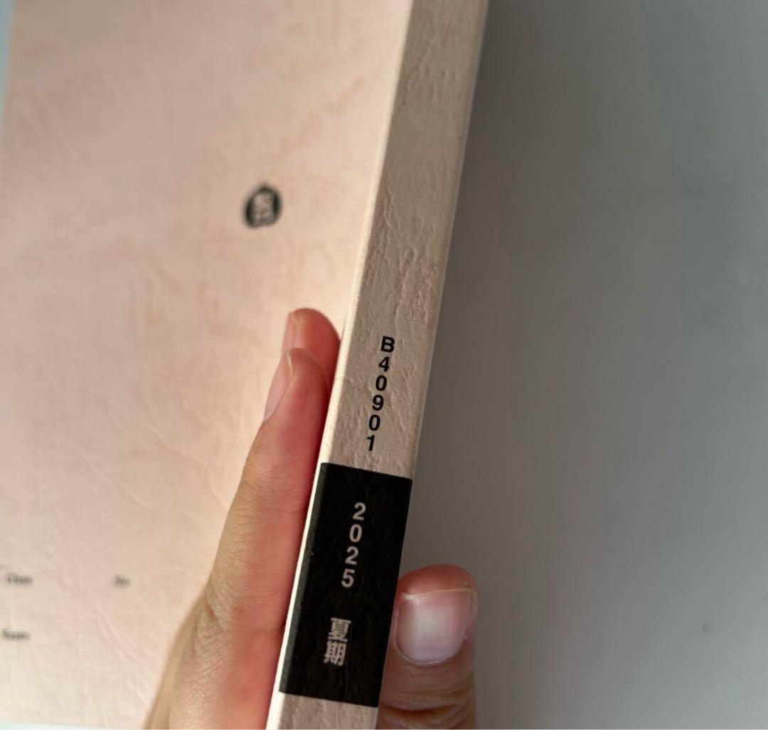 化学特講 II（無機化学）2025 駿台　最新　新品　未使用